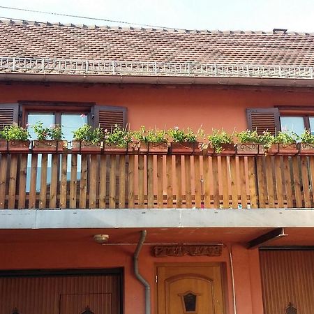 Gite Du Vigneron Mittelwihr Buitenkant foto